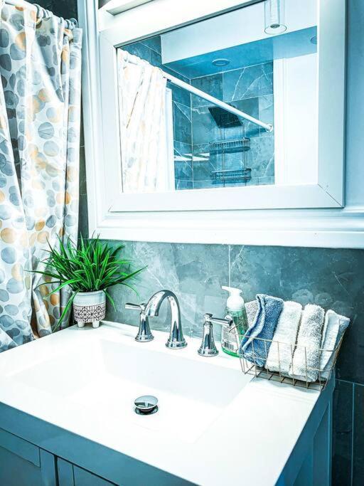 Comfortable 3Br, 1 Bath Close To The Falls Niagarafallen Exteriör bild